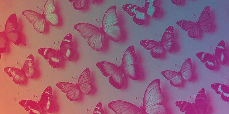 Beaux-Debuts-visuel-2026---papillons-seuls-02